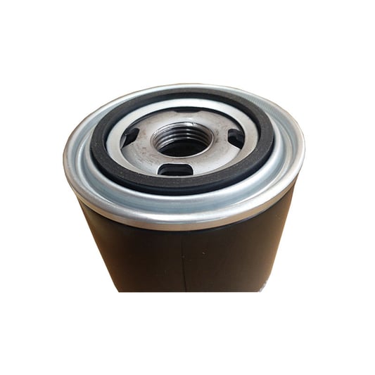 Oil Filter Replacement For SCR 29200007-001