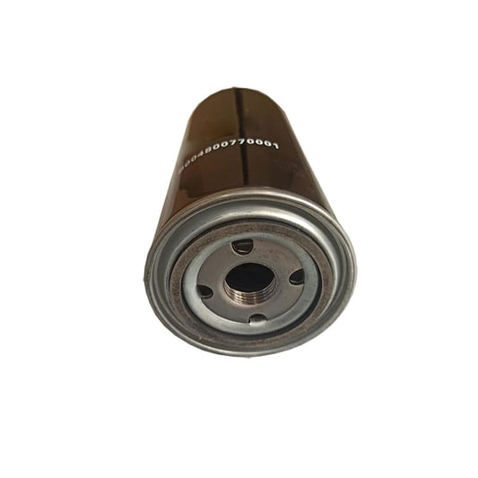 B004800770001 Oil Filter Replacement For EIGI